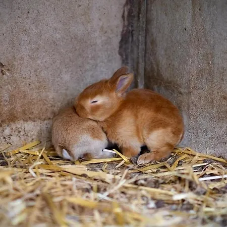 D'hotes A La Ferme De La Porte En Aix Pour 5 Aix-en-Issart