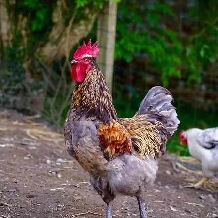 D'hotes A La Ferme De La Porte En Aix Pour 5