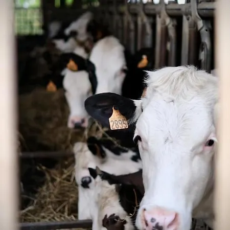 D'hotes A La Ferme De La Porte En Aix Pour 5 Penzion Aix-en-Issart