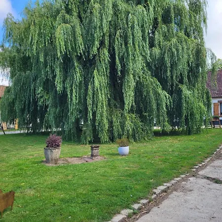 D'hotes A La Ferme De La Porte En Aix Pour 5 Penzion Aix-en-Issart